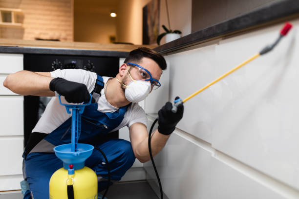 Best Termite Control Services  in Double Oak, TX