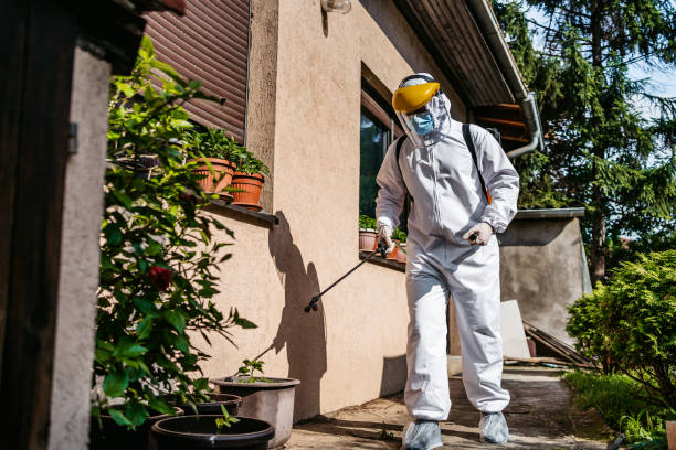 Best Cockroach Control Services  in Double Oak, TX