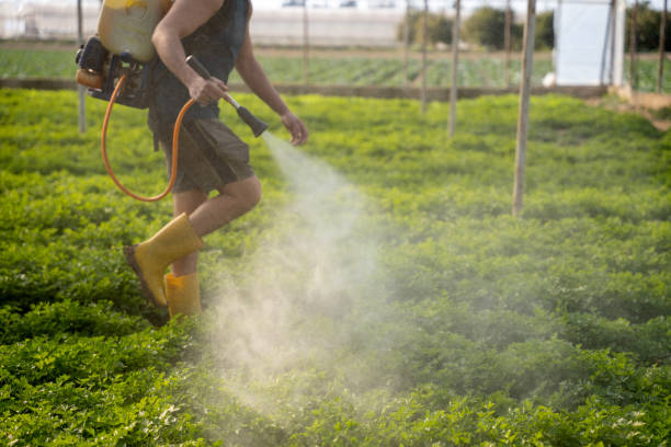 Best Commercial Pest Control Services  in Double Oak, TX