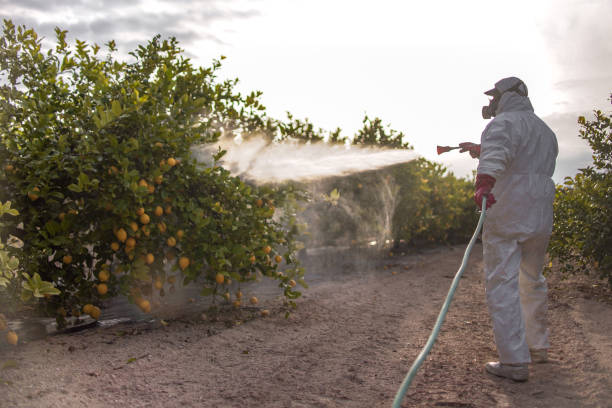 Best Affordable Pest Control Services  in Double Oak, TX