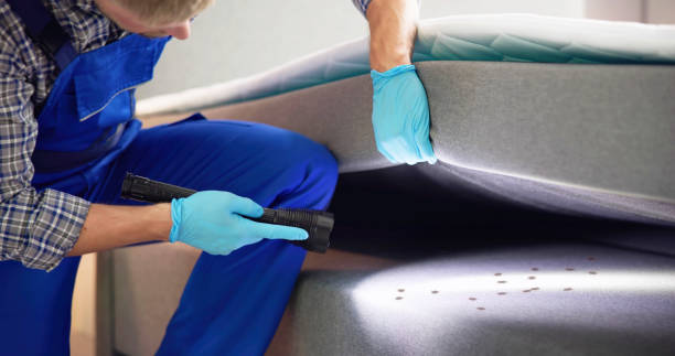 Best Pest Control Near Me  in Double Oak, TX