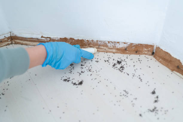 Best Pest Prevention Services  in Double Oak, TX